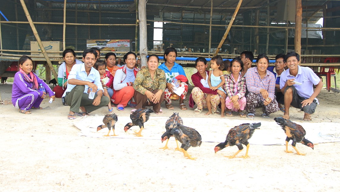 Village Entrepreneurs from Takeo province, Cambodia visit a chicken farm.