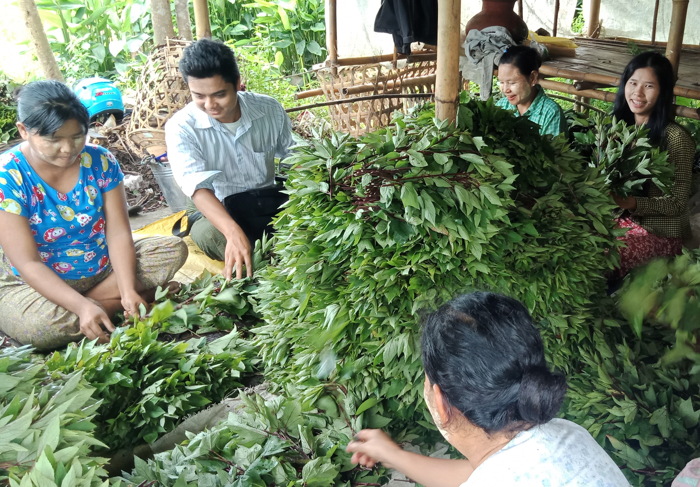Team Makes Field Trip in Myanmar interacting